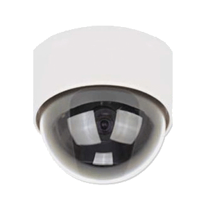 Telview Dome Camera